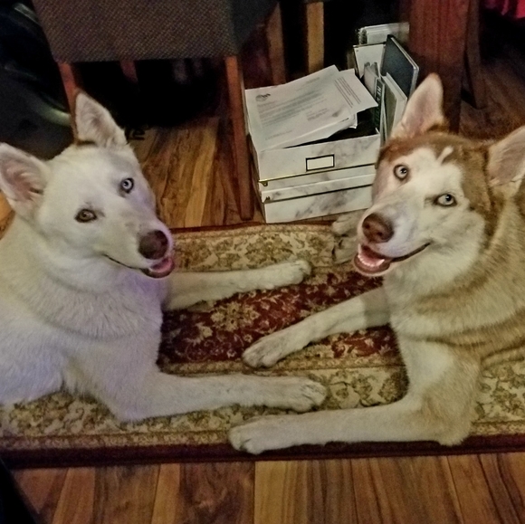 ❤ My Baby Girls ❤ - Picture 11 of 12